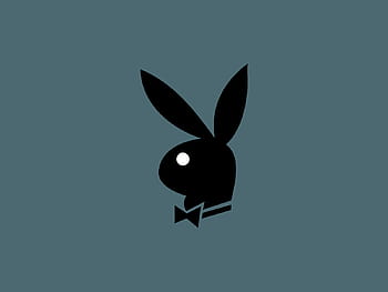 GENUINE PLAY BOY JOB'S AVAILABLE 